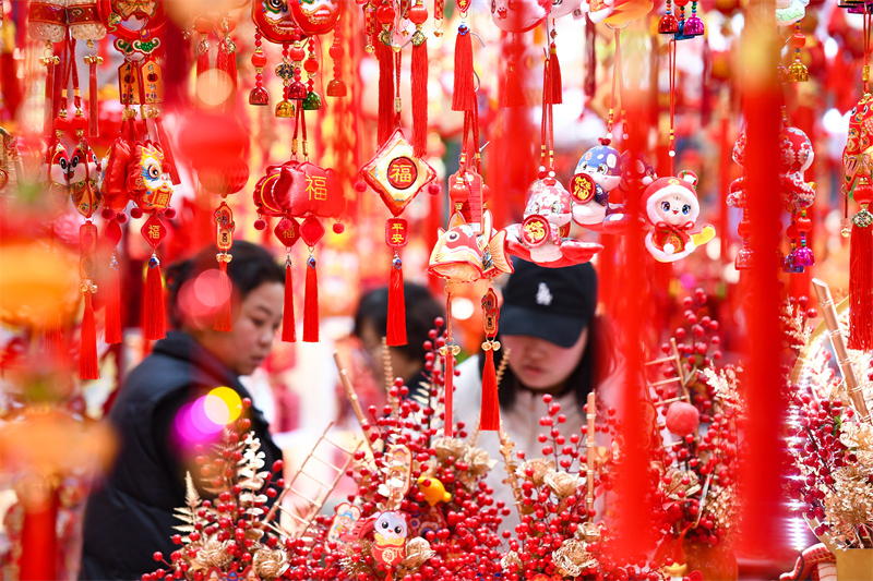 Jiangsu : les habitants de Nanjing achètent des marchandises de la Fête du Printemps