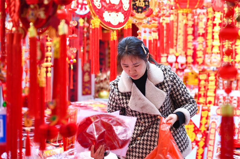 Jiangsu : les habitants de Nanjing achètent des marchandises de la Fête du Printemps