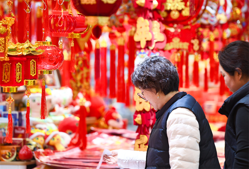 Jiangsu : les habitants de Nanjing achètent des marchandises de la Fête du Printemps