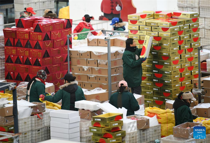 Shaanxi : le comté de Luochuan entre dans la haute saison des ventes de pommes