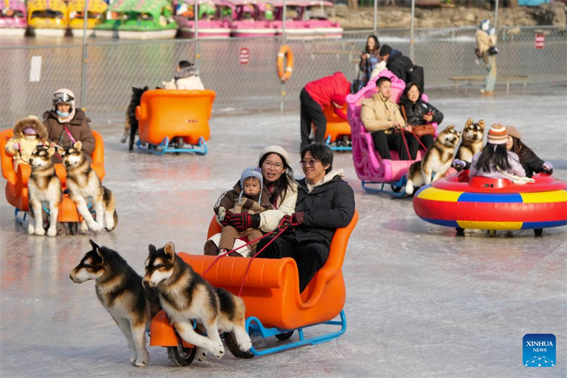 En photos : les Pékinois s'amusent sur la patinoire du Parc Tuanjiehu