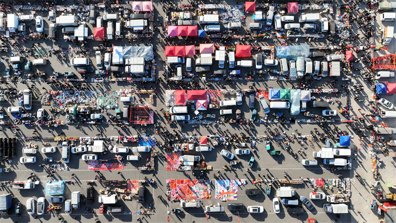 Liaoning : le grand marché Puhe de Shenyang déborde d'activité pour célébrer la fête du Printemps