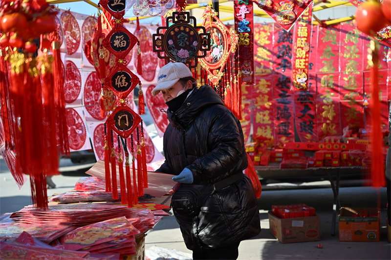 Liaoning : le grand marché Puhe de Shenyang déborde d'activité pour célébrer la fête du Printemps