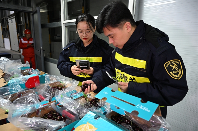 Comment les cerises du Chili bénéficient des grandes opportunités du marché ouvert de la Chine