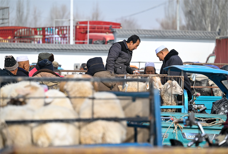 Ningxia : à Yinchuan, les marchés ruraux ont une forte saveur du Nouvel An