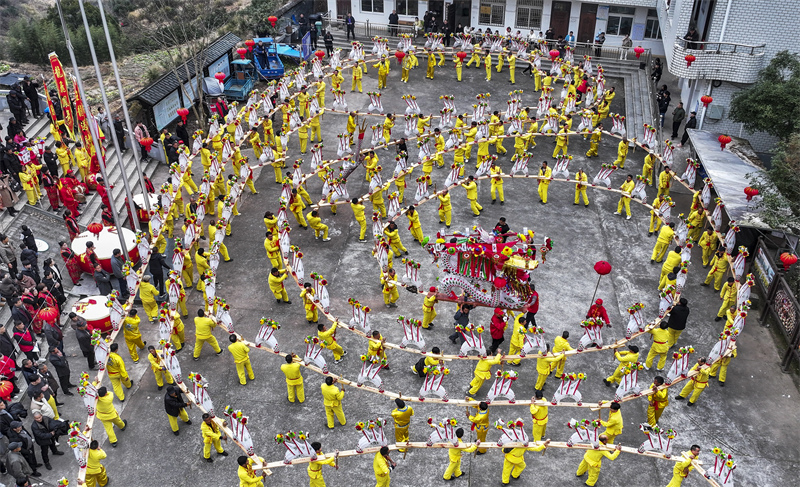 Zhejiang : les villageois d'Anshan exécutent une danse du dragon de planches pour célébrer la fête du Printemps