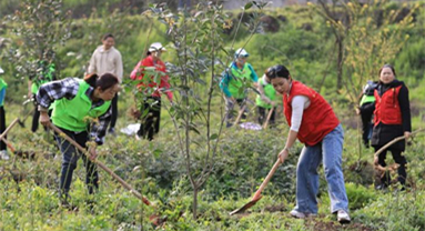 La Chine plante 4,45 millions d'hectares d'arbres en 2024