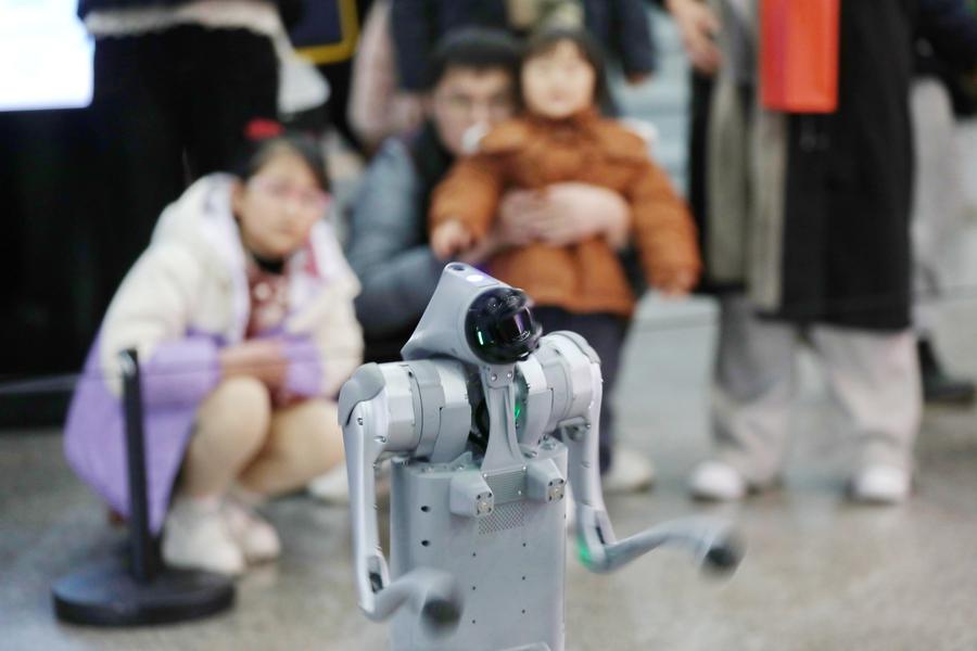 Des visiteurs assistent au spectacle d'un chien robot au musée des sciences et technologies de Jiaxing, ville de la province du Zhejiang, dans l'est de la Chine, le 31 janvier 2025. (Photo : Jin Peng)