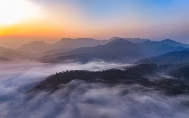 Anhui : des tours de fer « basées sur les nuages » aident à promouvoir le développement de l'énergie verte à Wuhu