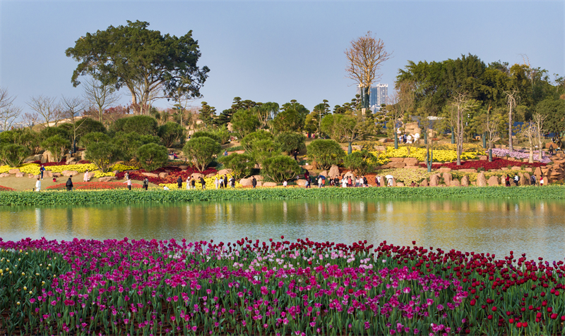 Guangxi : les touristes séduits par la mer de fleurs du mont Qingxiu à Nanning