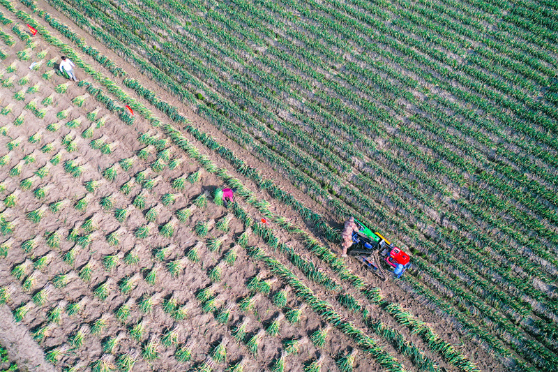 Jiangsu : les agriculteurs se préparent pour les travaux agricoles du début de printemps à Rugao