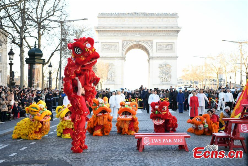 En photos : le Nouvel An chinois célébré à Paris