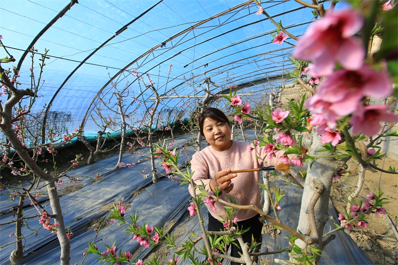 Gansu : à Jiayuguan, les travaux agricoles battent leur plein au début du printemps