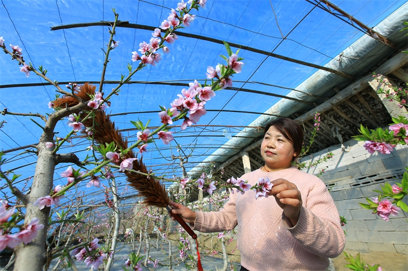 Gansu : à Jiayuguan, les travaux agricoles battent leur plein au début du printemps