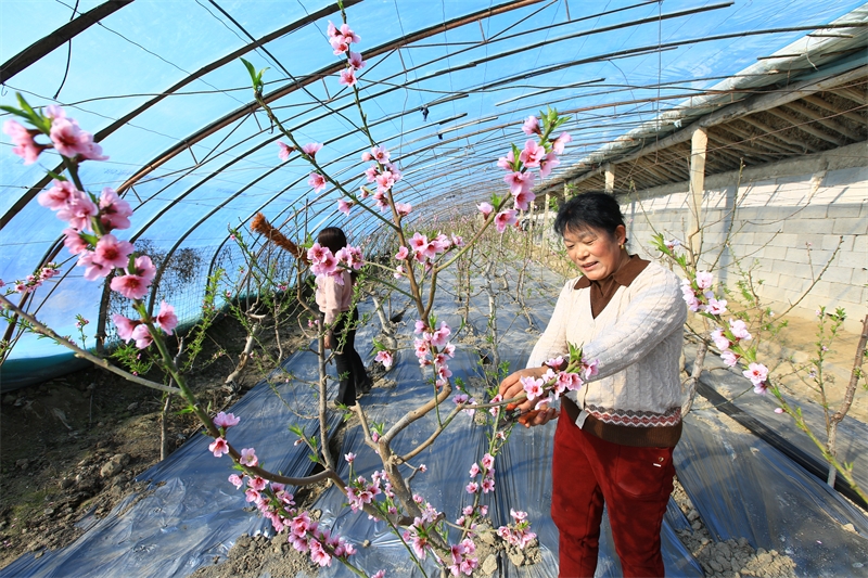 Gansu : à Jiayuguan, les travaux agricoles battent leur plein au début du printemps