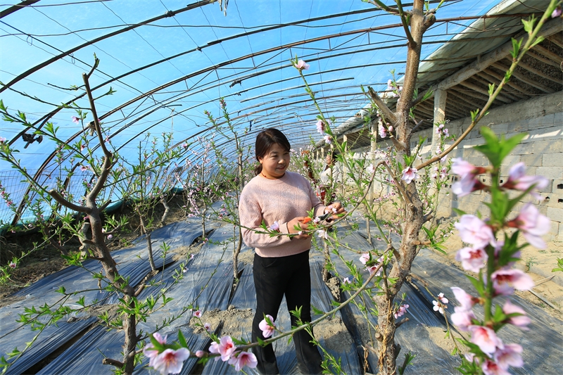 Gansu : à Jiayuguan, les travaux agricoles battent leur plein au début du printemps