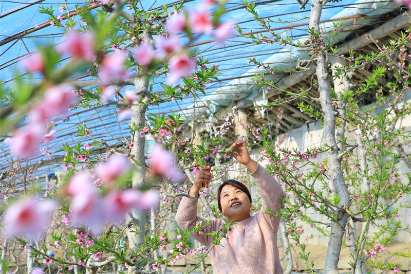 Gansu : à Jiayuguan, les travaux agricoles battent leur plein au début du printemps