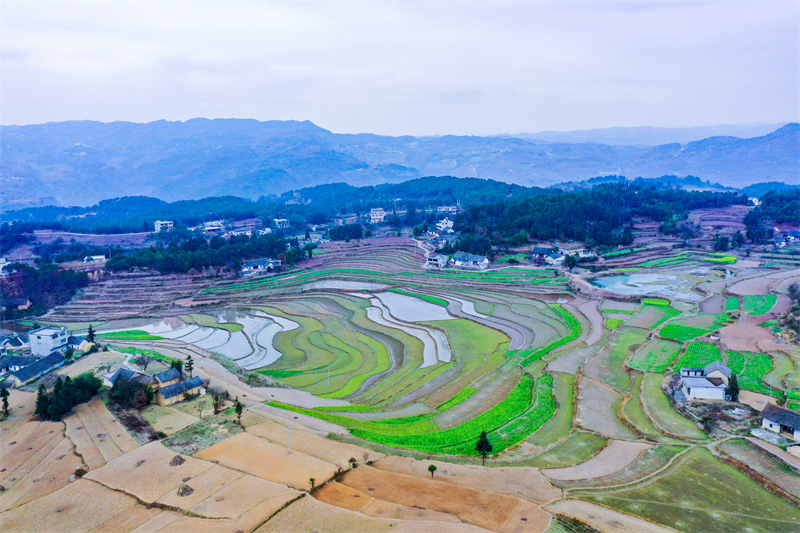 Guizhou : les champs en terrasses aménagés pour stocker l'eau et préparer les cultures de printemps