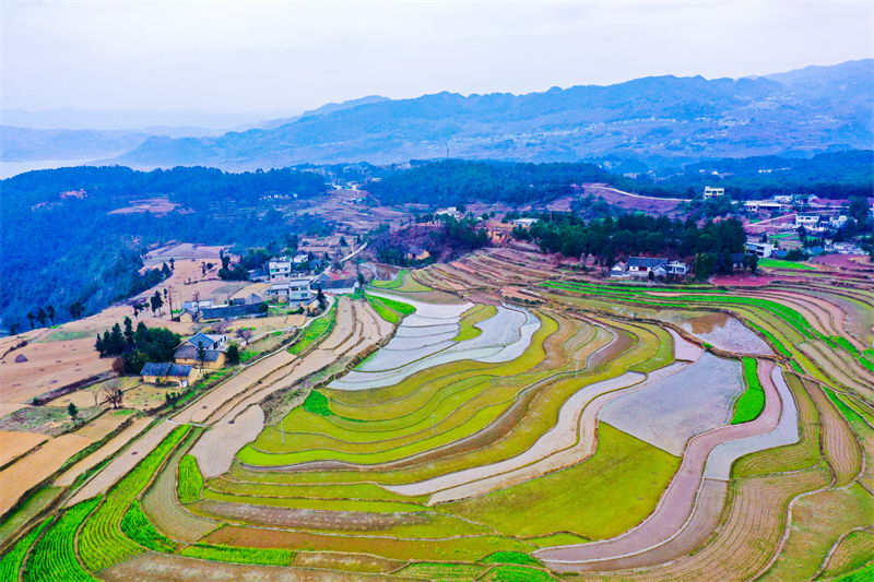 Guizhou : les champs en terrasses aménagés pour stocker l'eau et préparer les cultures de printemps