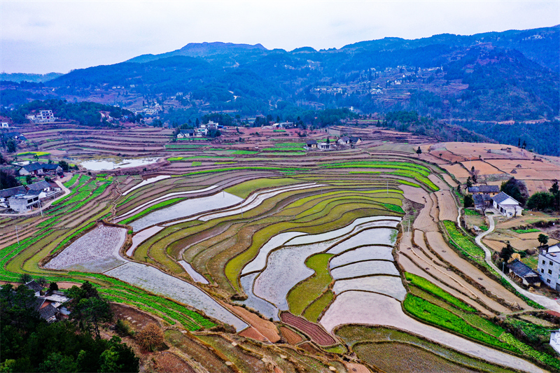 Guizhou : les champs en terrasses aménagés pour stocker l'eau et préparer les cultures de printemps