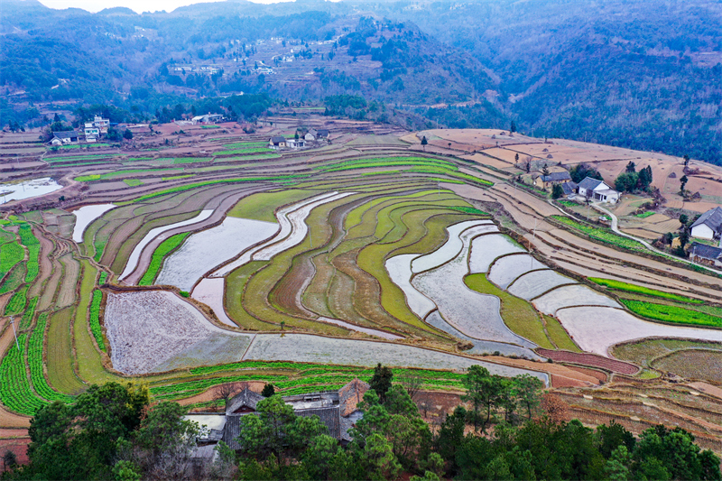 Guizhou : les champs en terrasses aménagés pour stocker l'eau et préparer les cultures de printemps