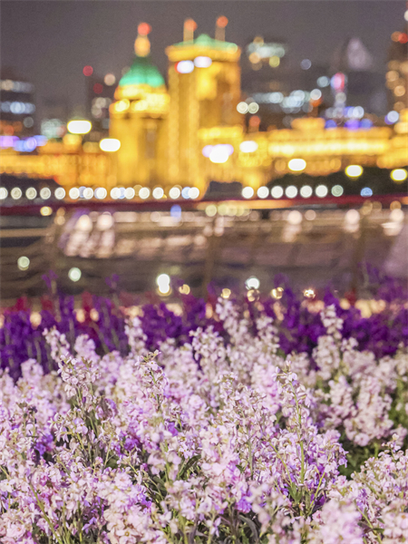 Shanghai : les splendides paysages urbains nocturnes du nord du Bund attirent de nombreux touristes