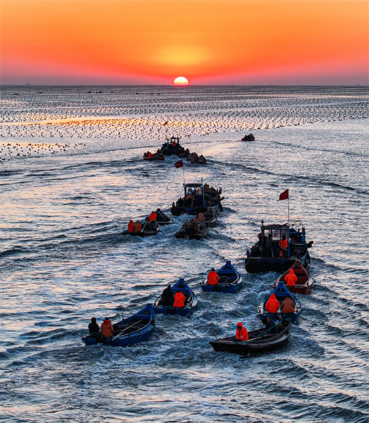 Shandong : les opérations d'aquaculture en mer battent leur plein à Rongcheng