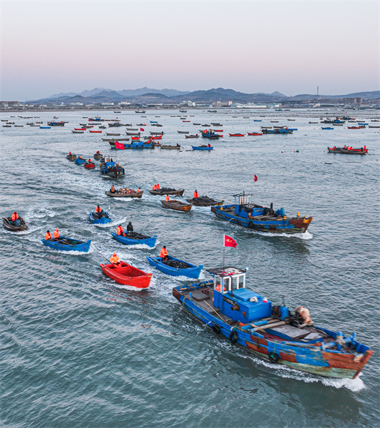 Shandong : les opérations d'aquaculture en mer battent leur plein à Rongcheng