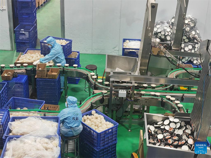 Les exportations agricoles du Guizhou font rayonner les saveurs des campagnes chinoises à l'international