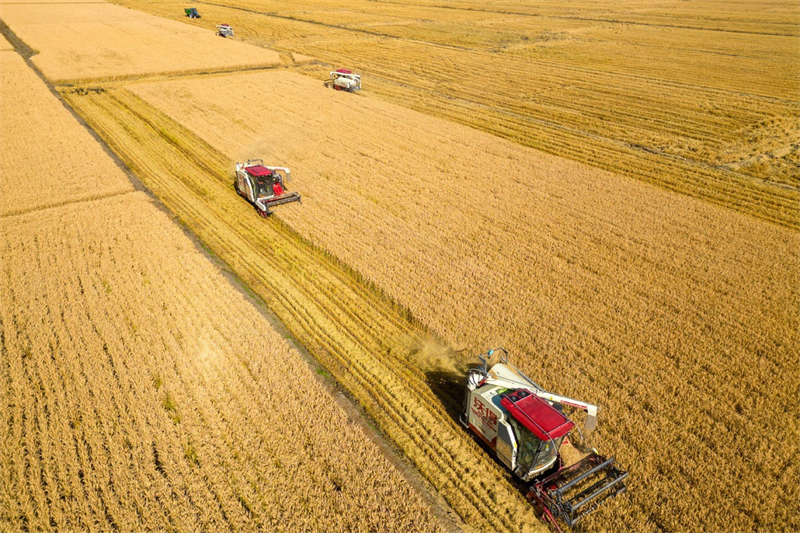 De nouvelles forces productives de qualité dans l'agriculture soulignées dans un projet politique