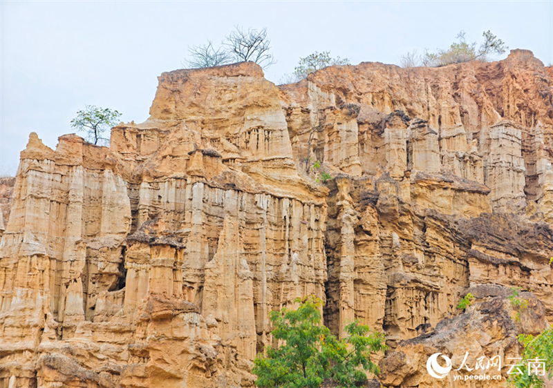 Yunnan : le paysage de la Forêt de Terre stérile de Yuanmou, beau comme une peinture