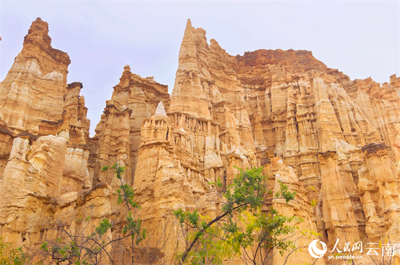 Yunnan : le paysage de la Forêt de Terre stérile de Yuanmou, beau comme une peinture