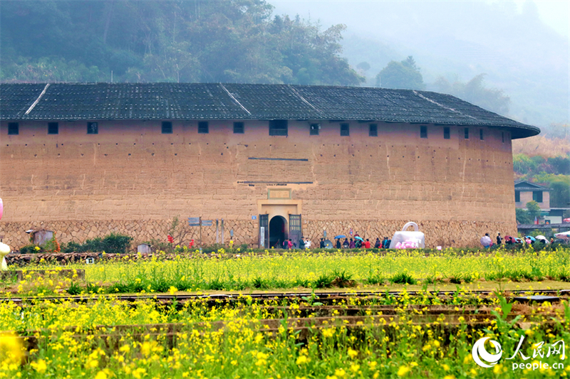 Fujian : le charme printanier des Tulou de Hua'an entourés de fleurs de colza épanouies