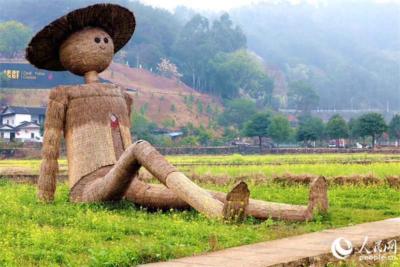 Fujian : le charme printanier des Tulou de Hua'an entourés de fleurs de colza épanouies