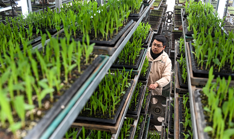 Sichuan : la préparation des semis pour les labours de printemps à Peng'an