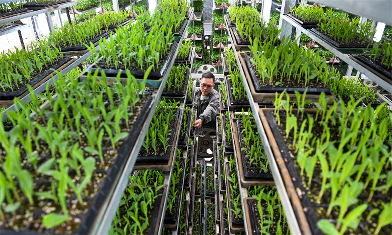 Sichuan : la préparation des semis pour les labours de printemps à Peng'an