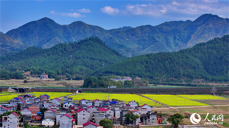 Jiangxi : à Jishui, la campagne luxuriante est belle comme une peinture