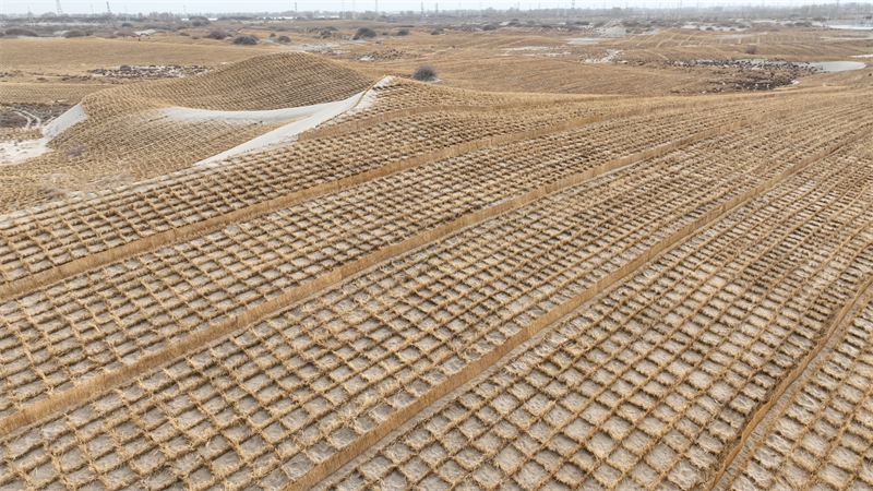 Gansu : Jinta renforce la défense écologique et protège l'habitat vert avec le compactage du sable