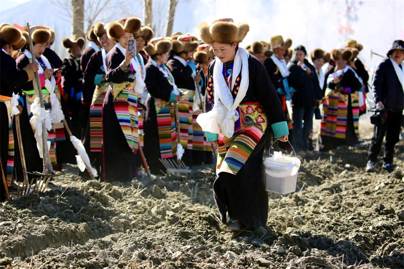 Xizang : les labours de printemps ont commencé