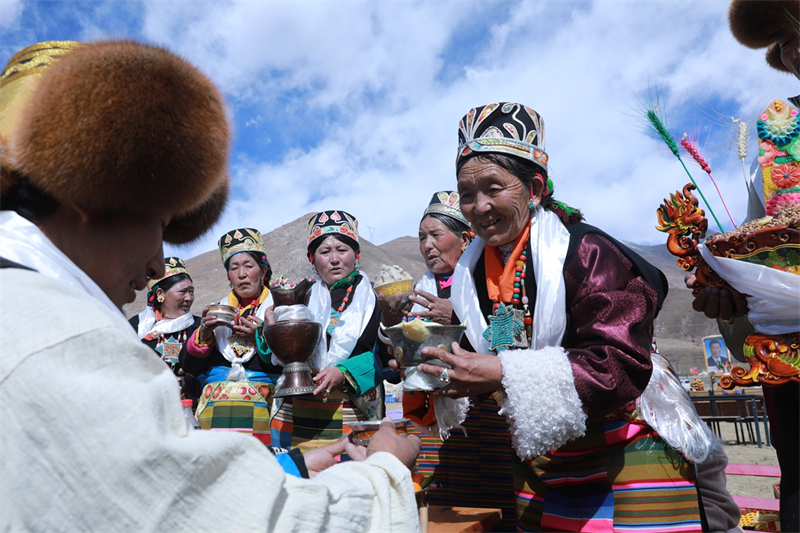 Xizang : les labours de printemps ont commencé