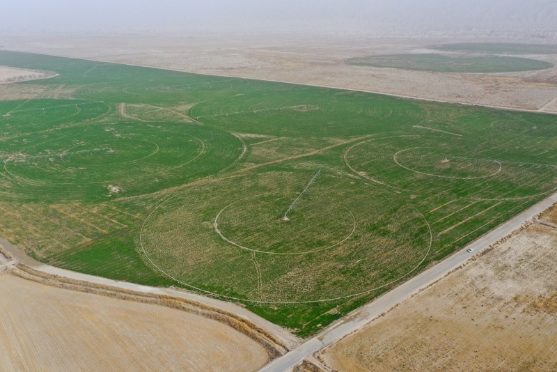 Xinjiang : le désert du Taklamakan complètement entouré d'une ceinture verte grâce aux efforts de contrôle du sable
