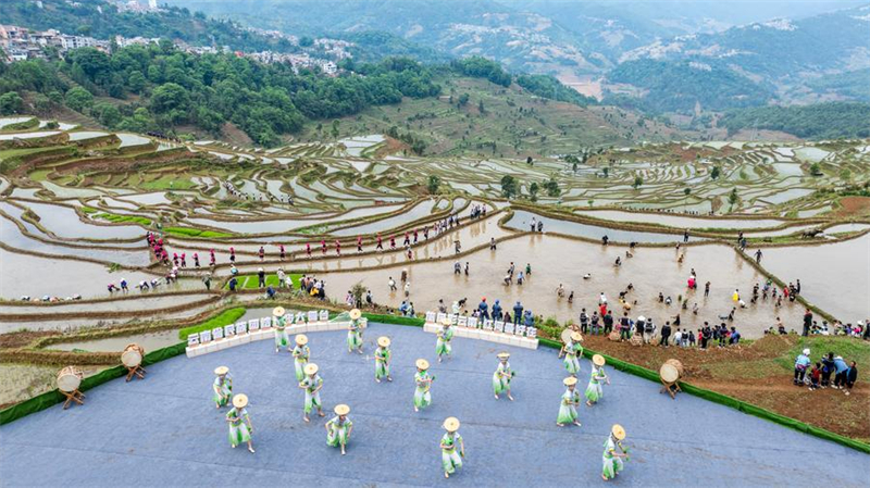 Yunnan : vieux de 1 300 ans, l'écosystème agricole des Hani est toujours bien vivant