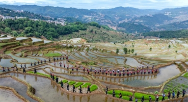 Yunnan : vieux de 1 300 ans, l'écosystème agricole des Hani est toujours bien vivant