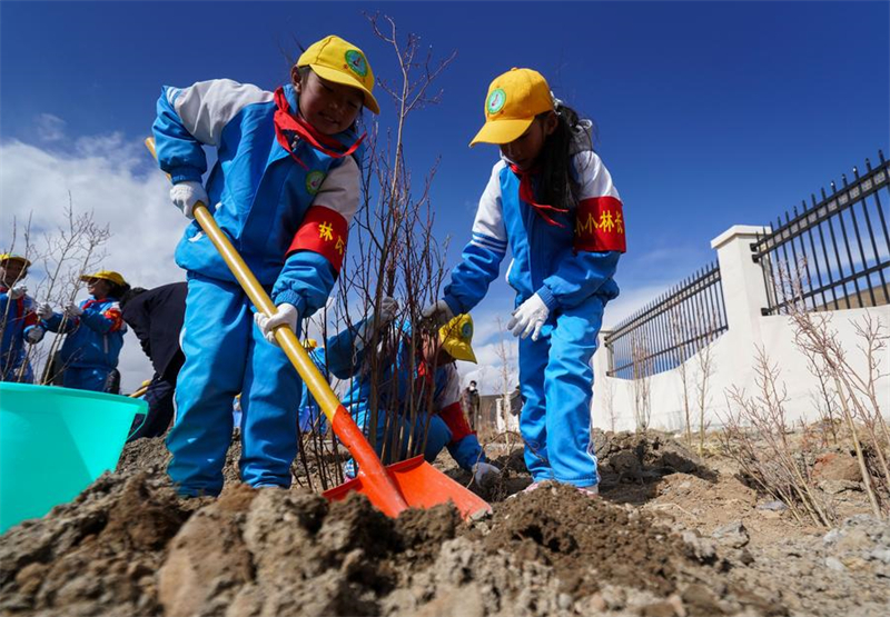 Xizang : Nagqu fait progresser le verdissement urbain sur « le toit du toit du monde »