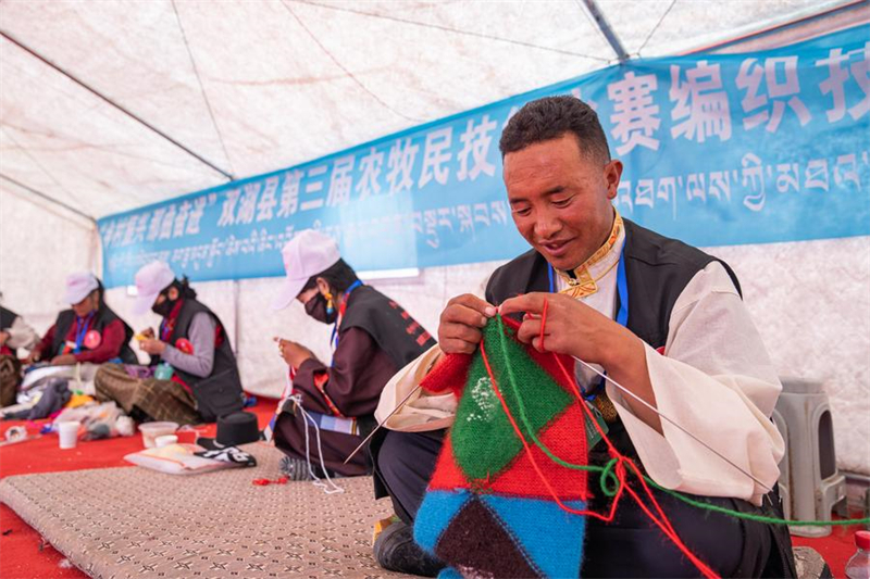 Xizang : Nagqu fait progresser le verdissement urbain sur « le toit du toit du monde »