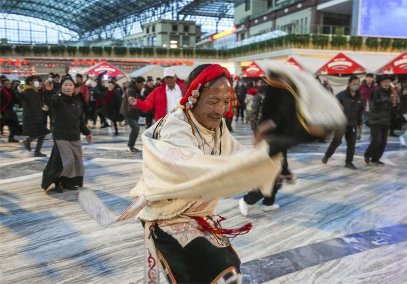 Xizang : Nagqu fait progresser le verdissement urbain sur « le toit du toit du monde »