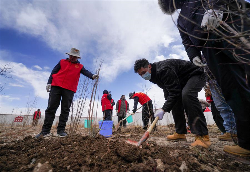 Xizang : Nagqu fait progresser le verdissement urbain sur « le toit du toit du monde »