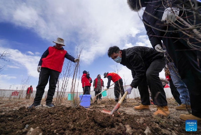 Xizang : un aperçu du développement urbain de la ville de Nagqu