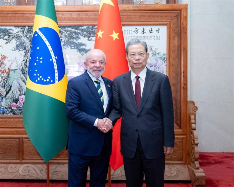 Le plus haut législateur chinois rencontre le président brésilien