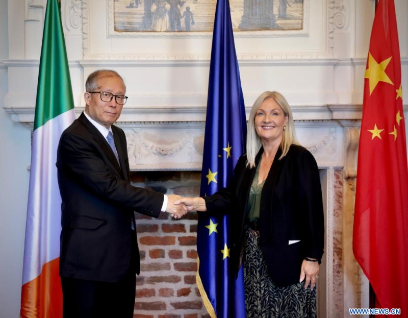 La Chine est prête à poursuivre des échanges législatifs amicaux avec l'Irlande